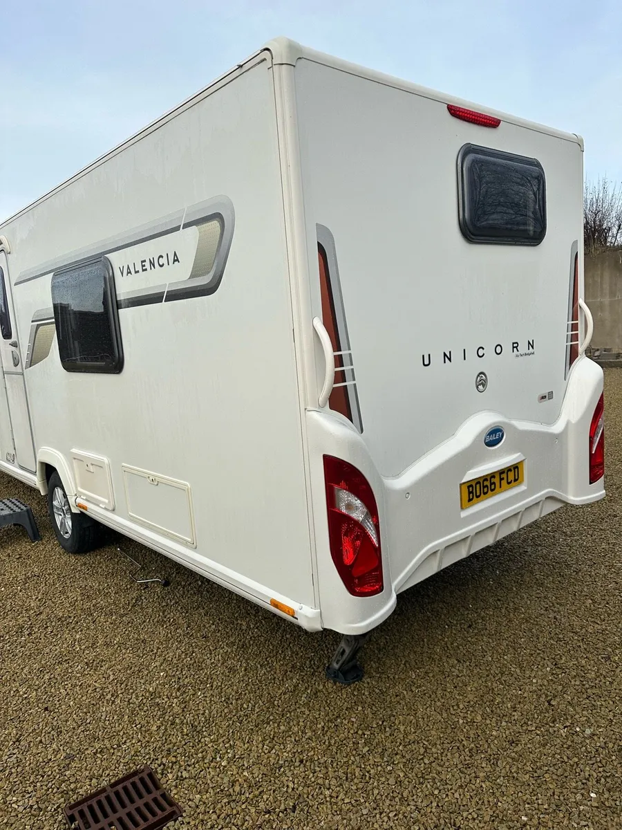 Bailey  unicorn Valencia - Image 4