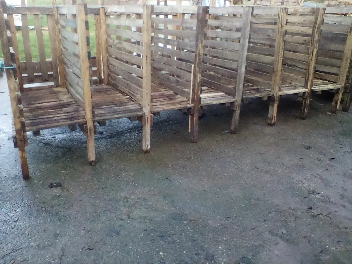 Single calf pens with slats - Image 3