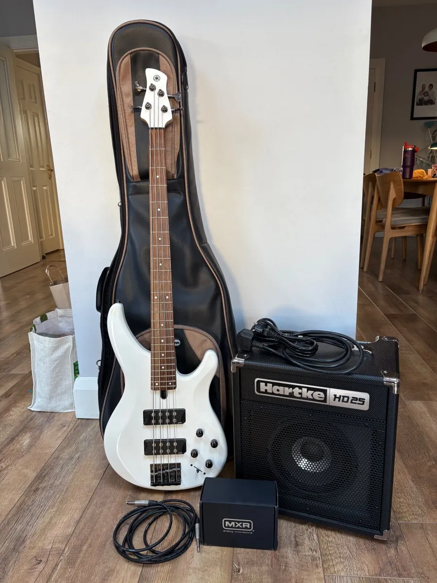 Bass guitar and bass combo