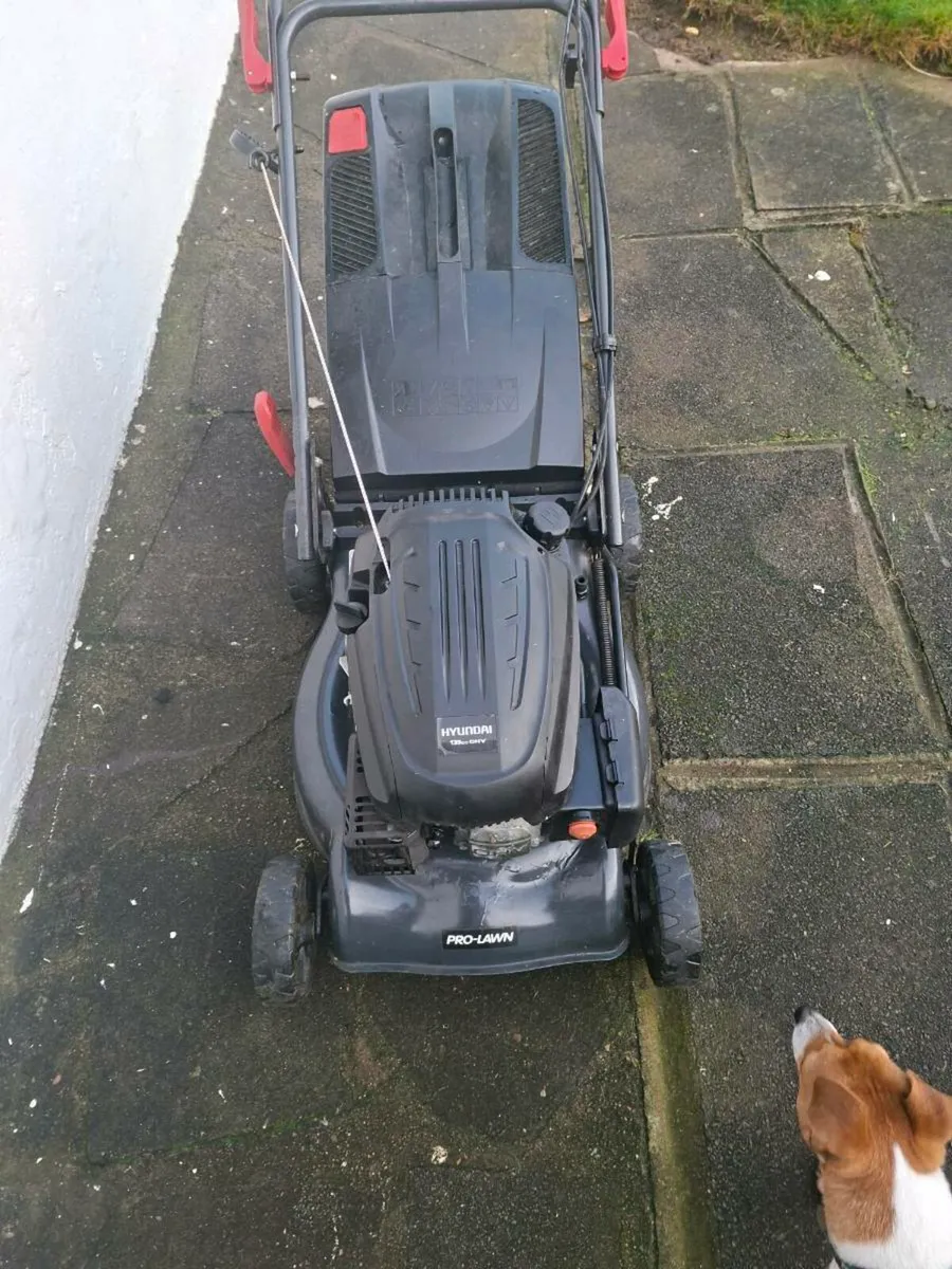 prolawn  lawnmower self-drive - Image 1