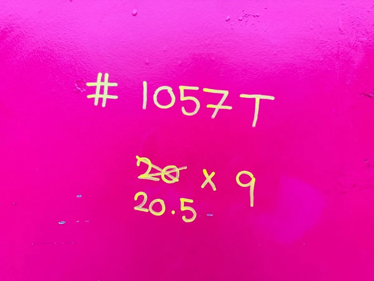 20 x 9 container - Image 4