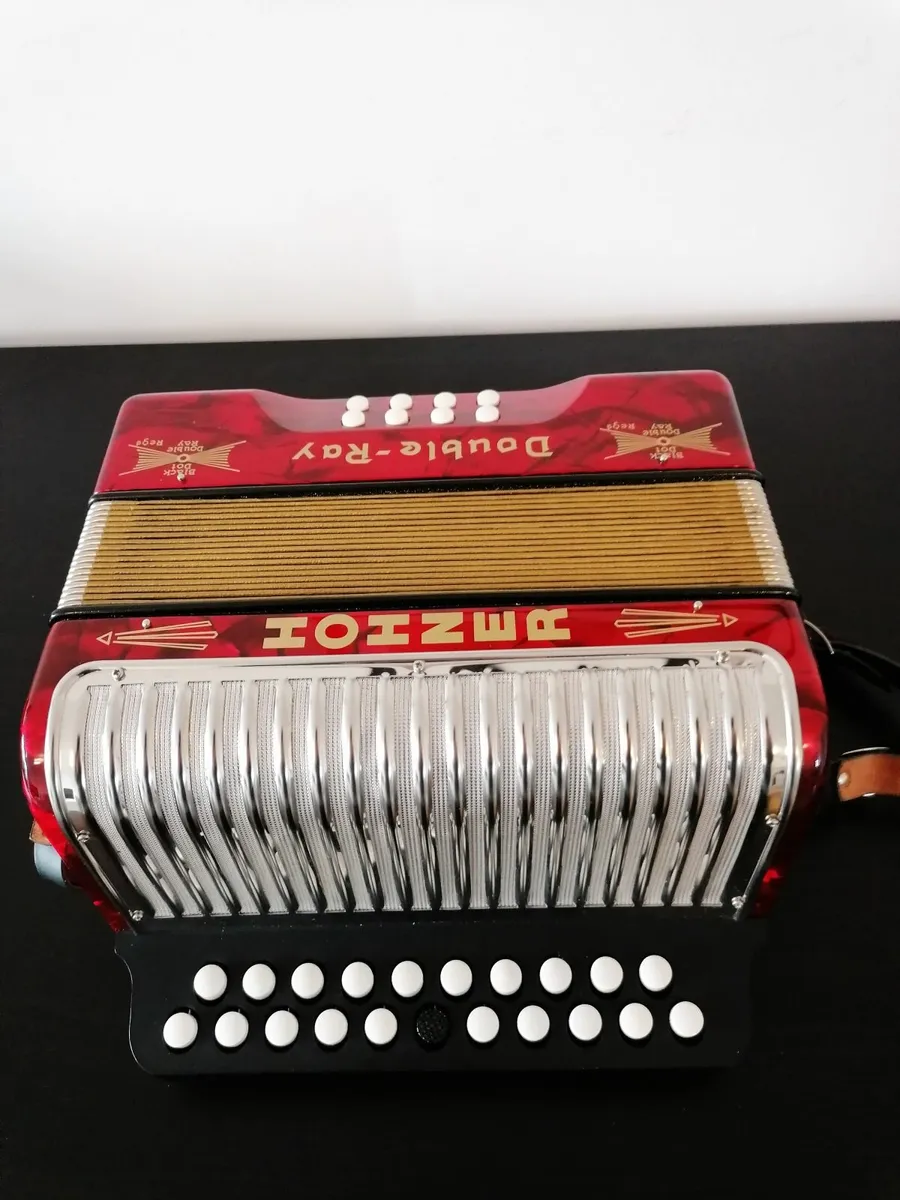 Accordion - Image 1
