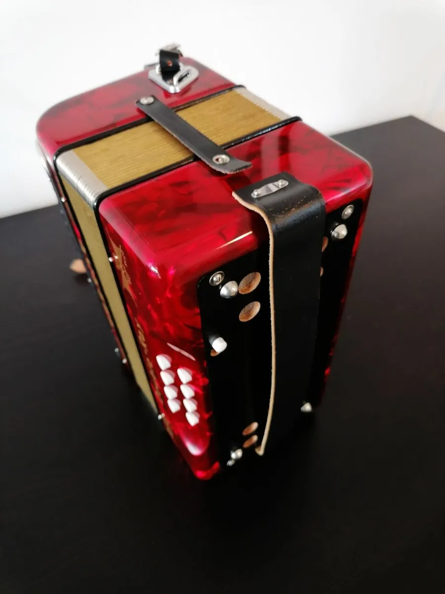 Accordion - Image 4