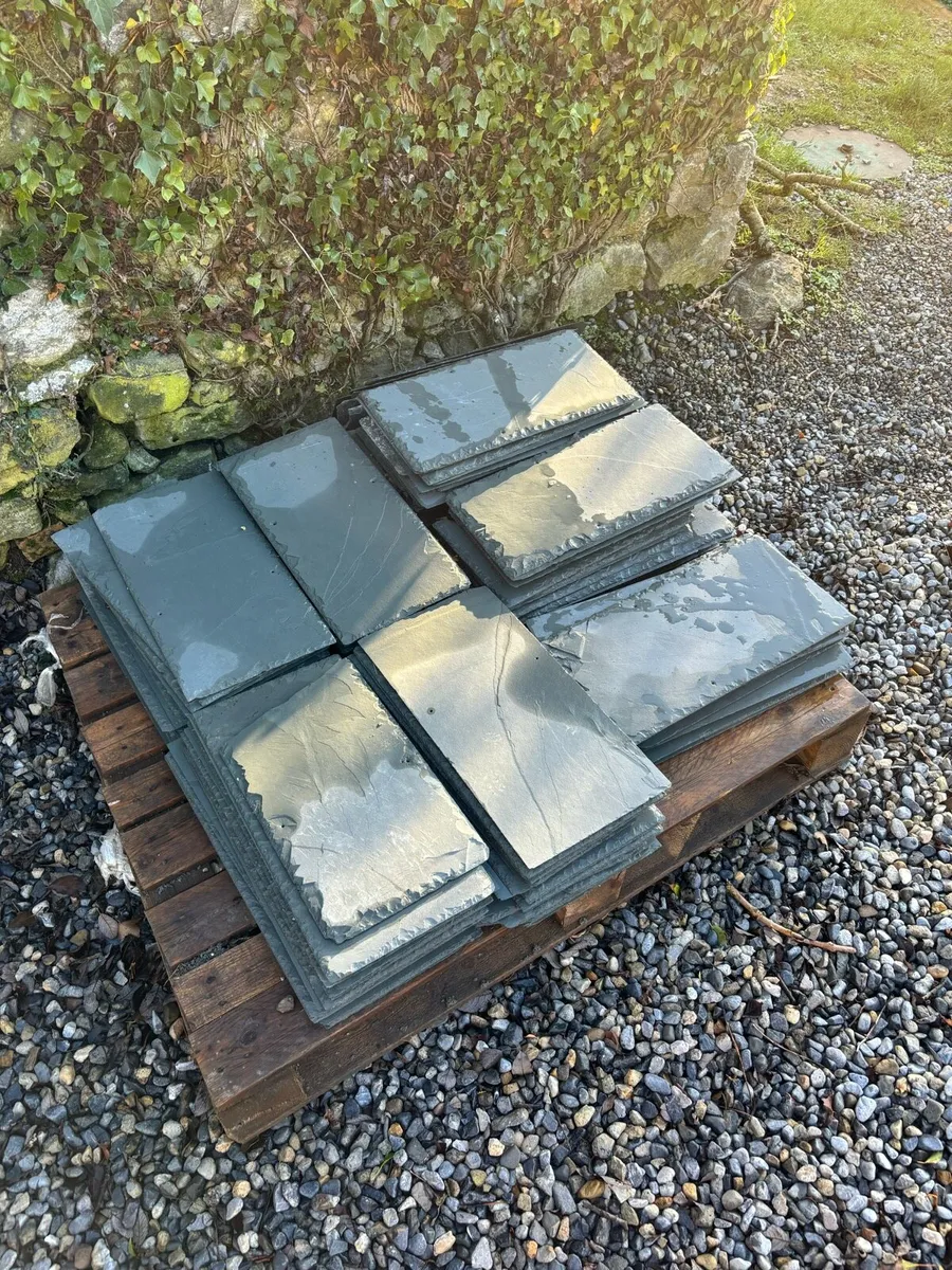Natural Slate 250X500 - Image 1