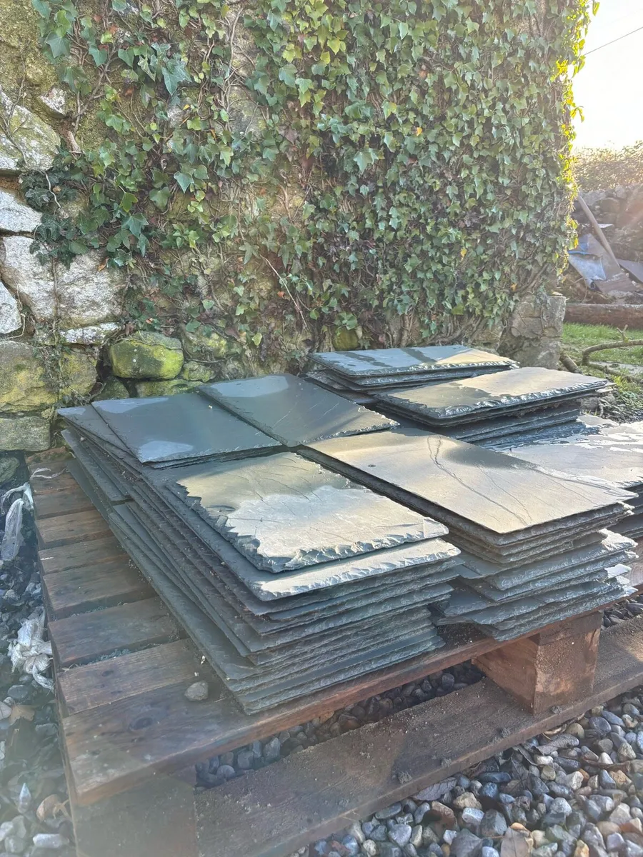 Natural Slate 250X500 - Image 2