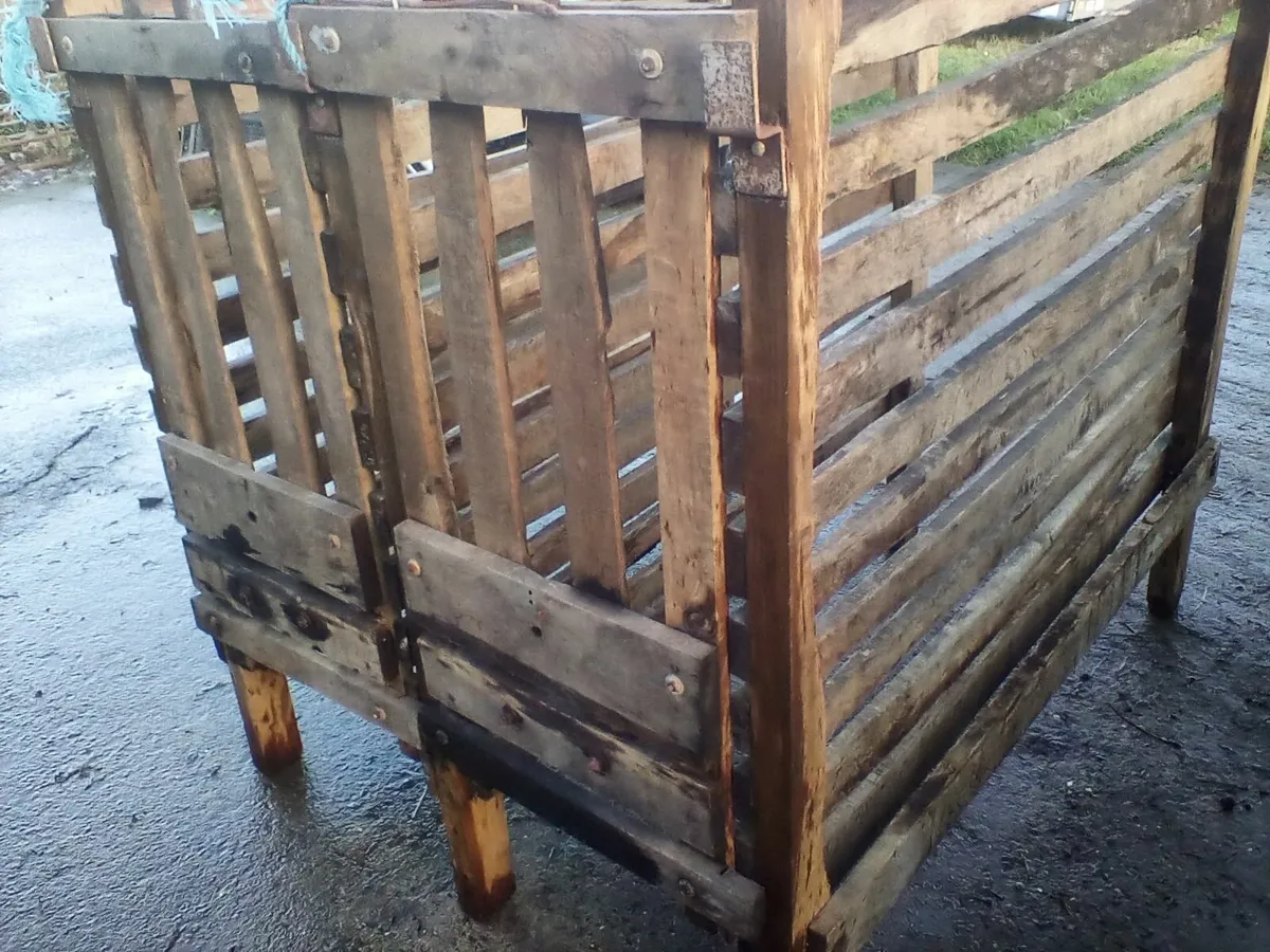 Single calf pens with slats - Image 4
