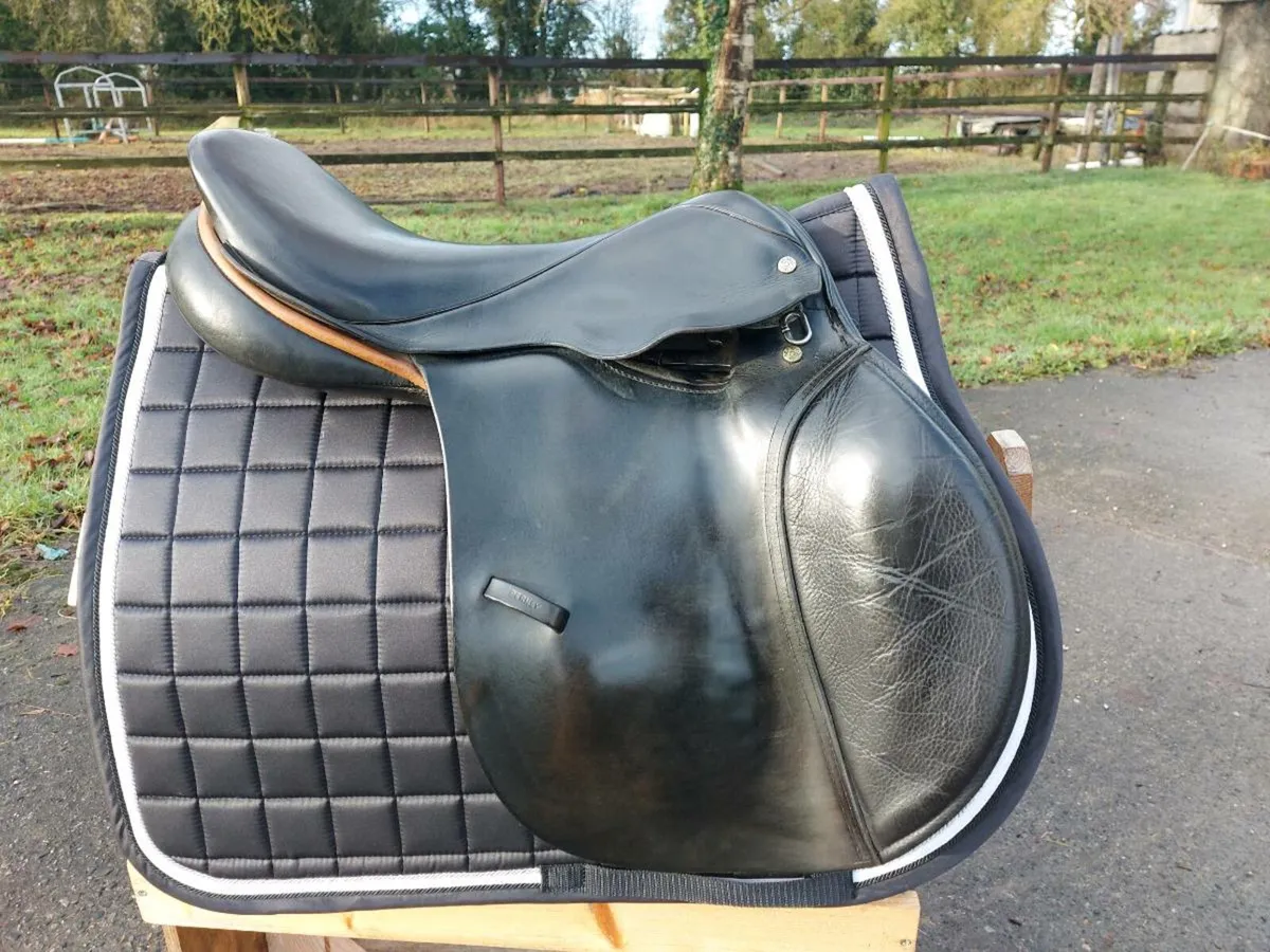 Berney International jumping saddle - Image 1