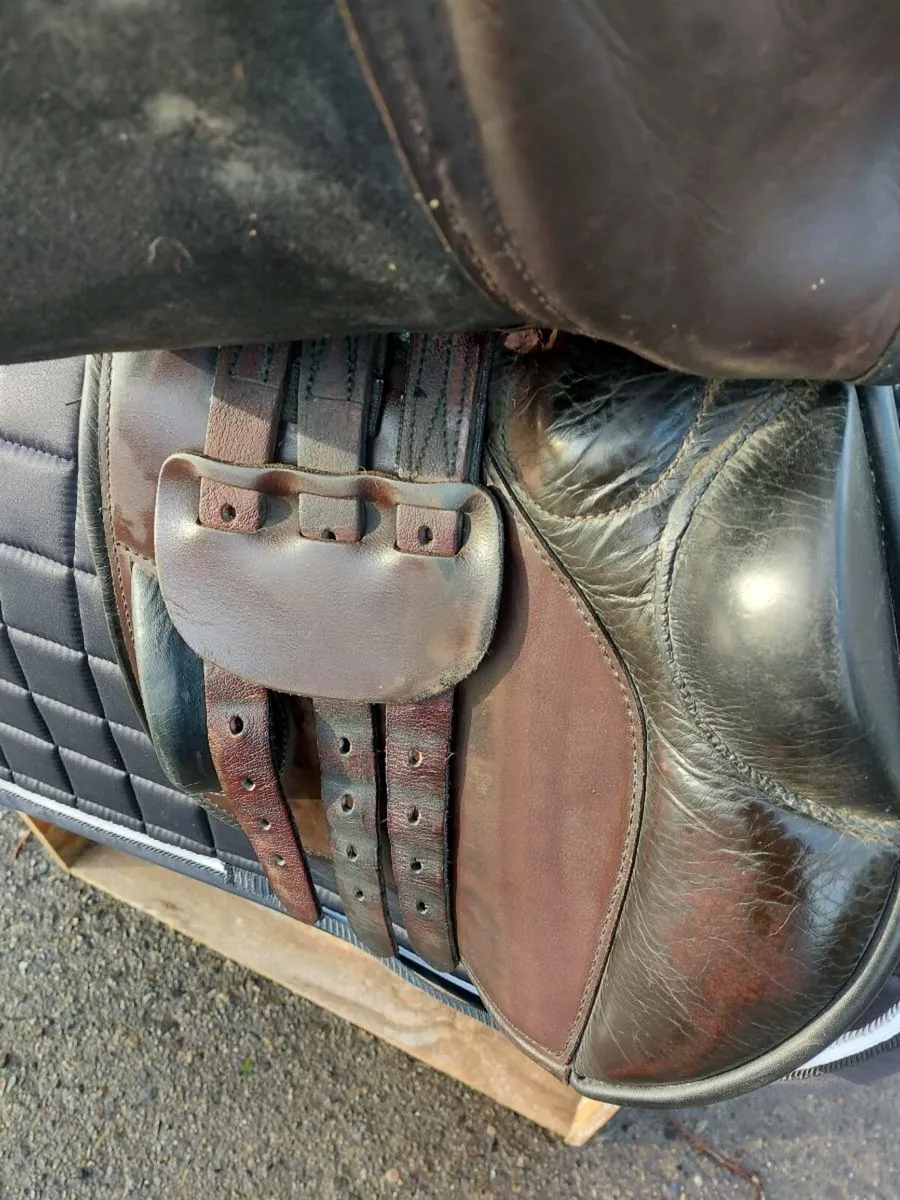 Berney International jumping saddle - Image 2