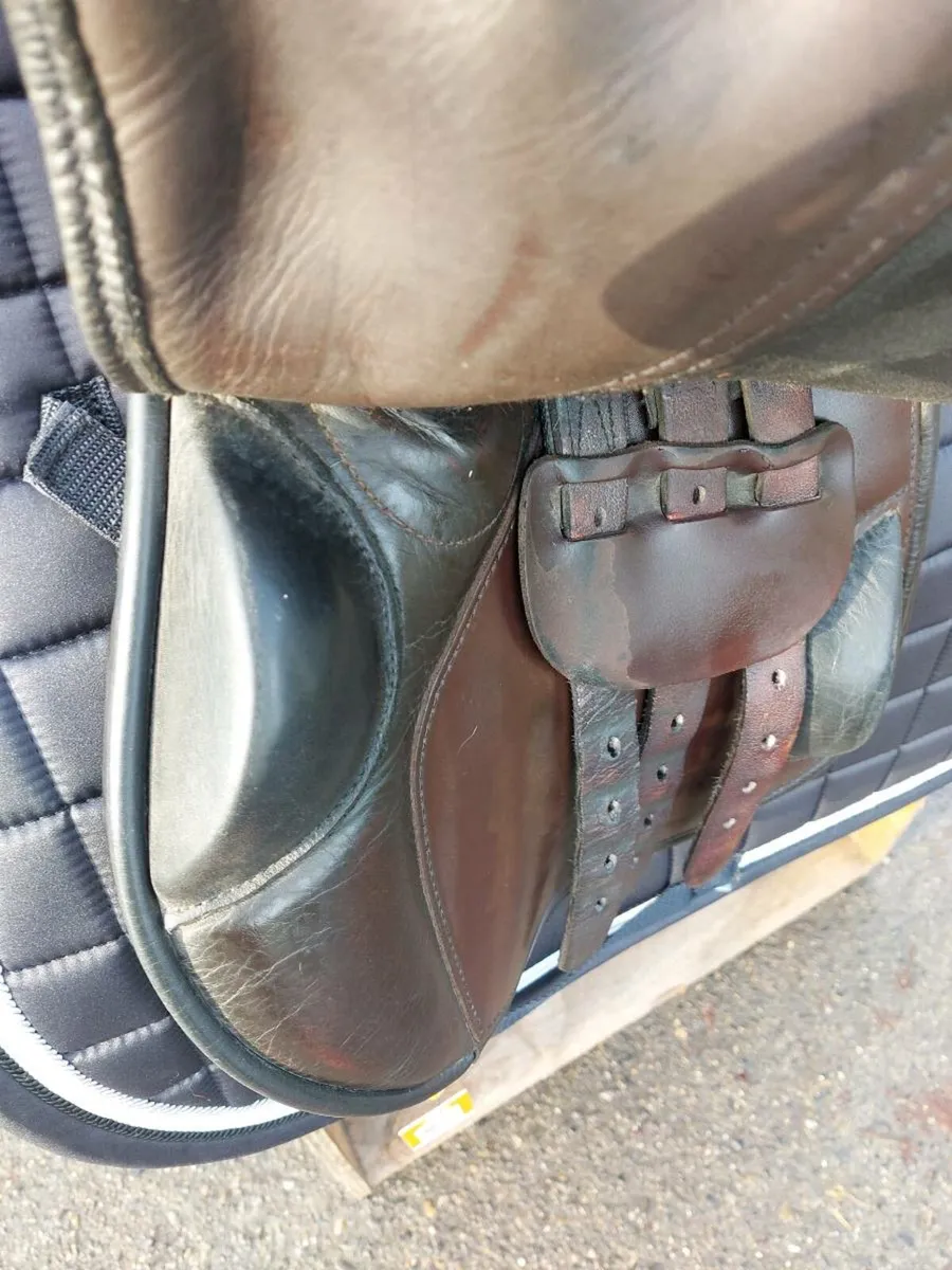 Berney International jumping saddle - Image 4