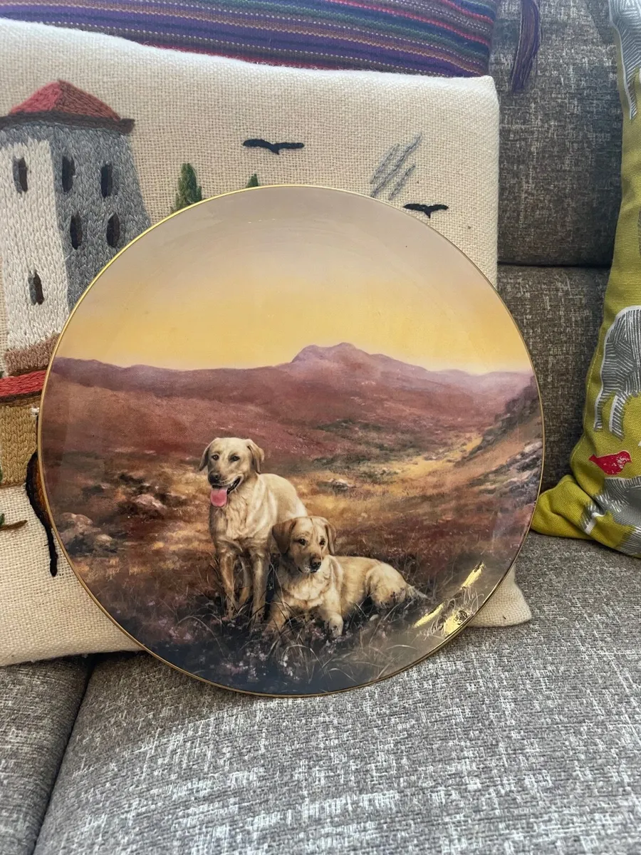LIMITED EDITION  COALPORT LABRADORS  PLATE - Image 3
