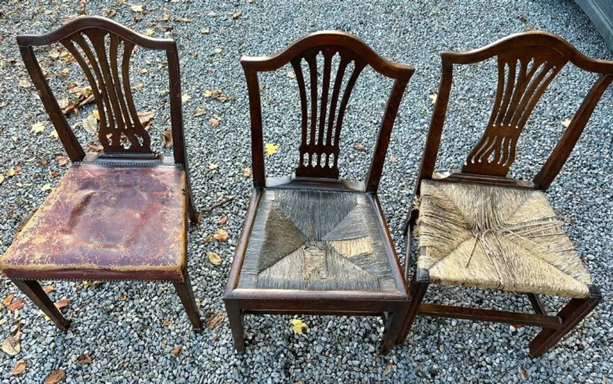 FREE. Chairs x 3 - Image 1