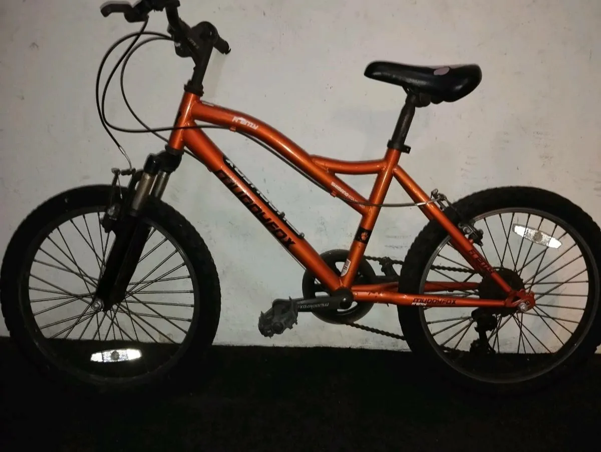 Boys 20inch bike - Image 2