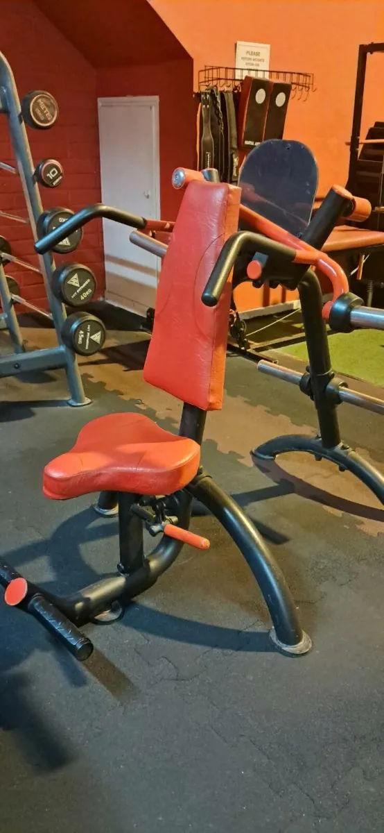 Iso-Lateral Row (Back Machine)
,Shoulder Press - Image 1