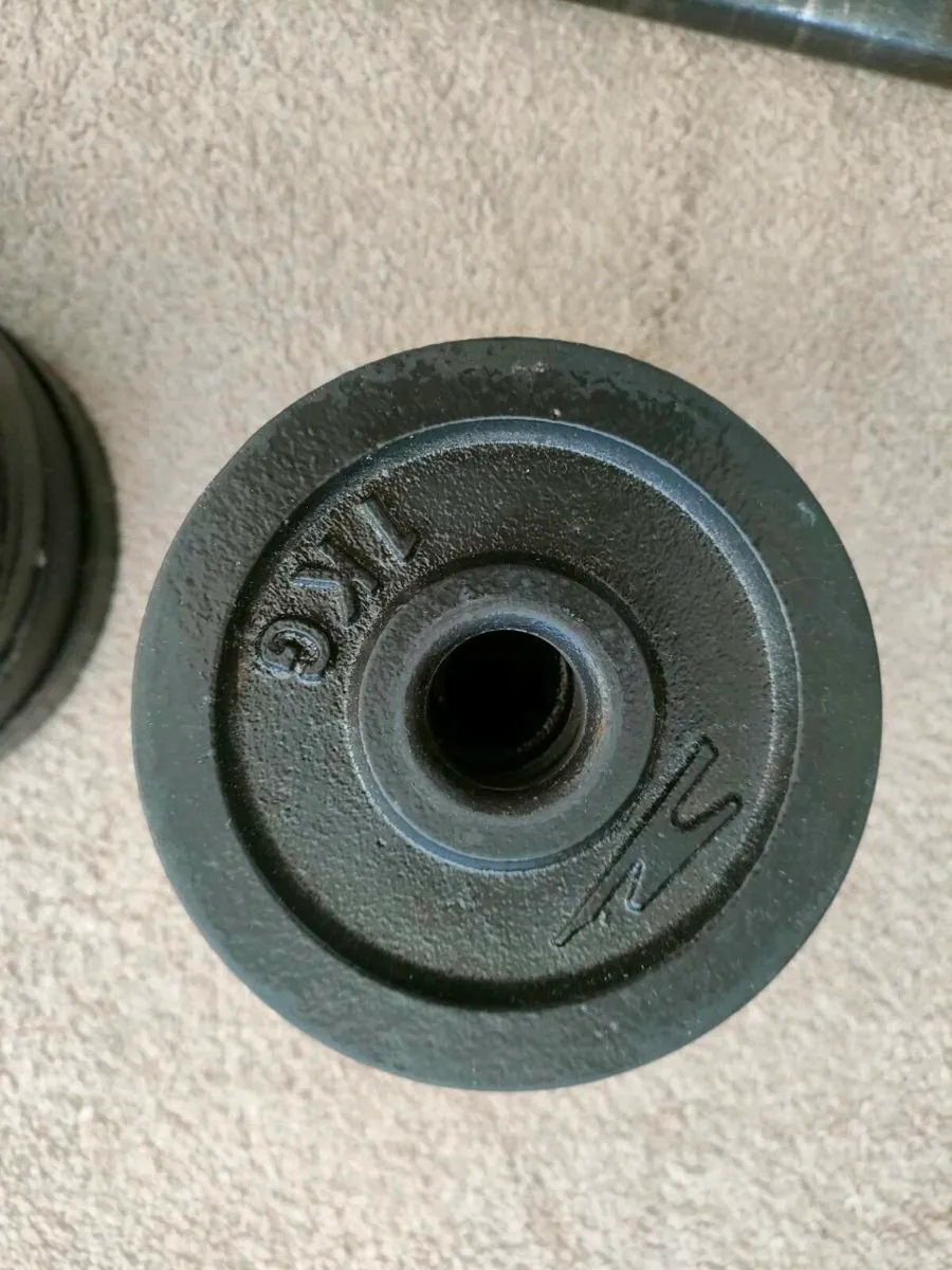 Curl Bar and Dumbbell Set - Image 3