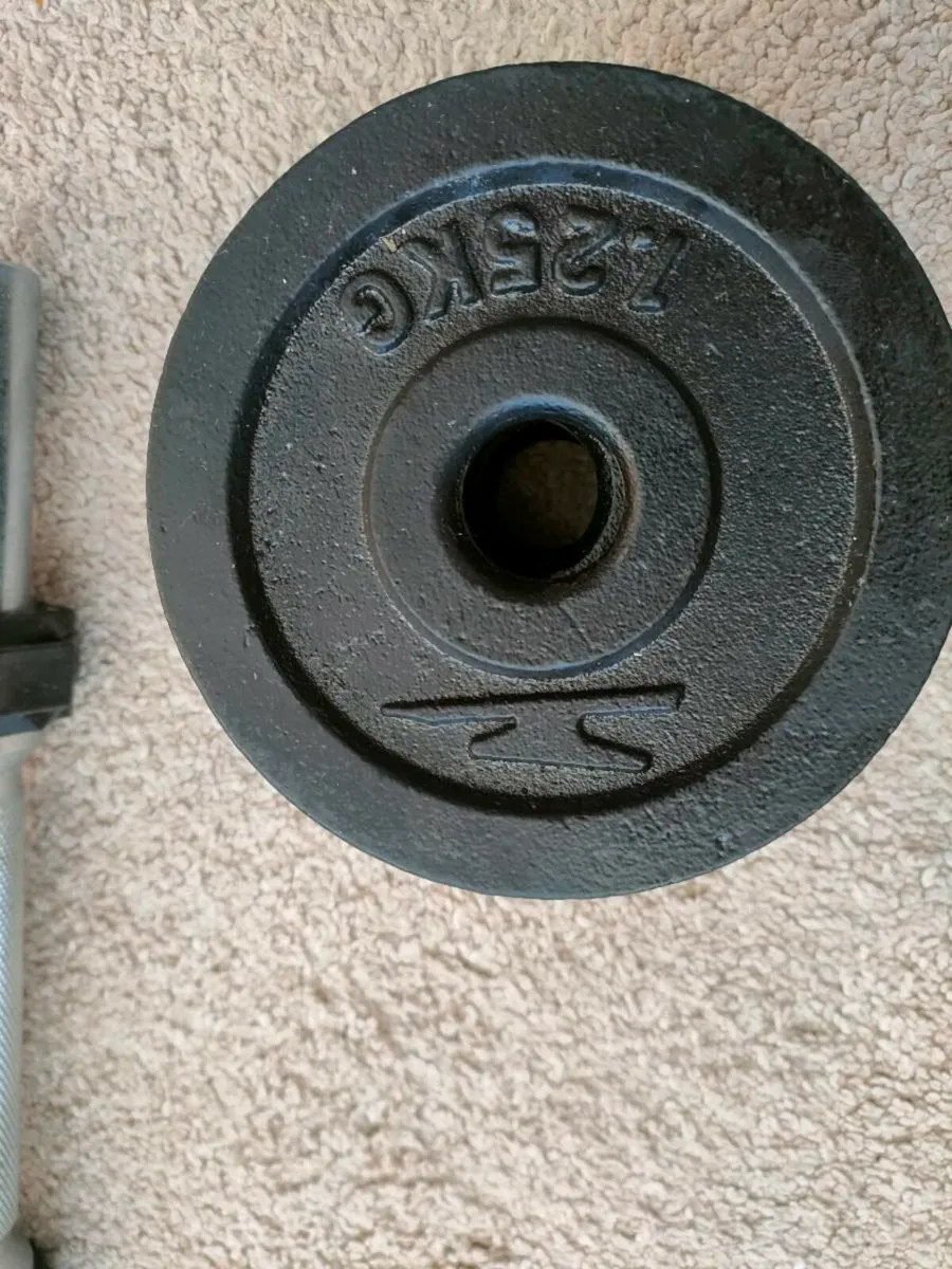 Curl Bar and Dumbbell Set - Image 4