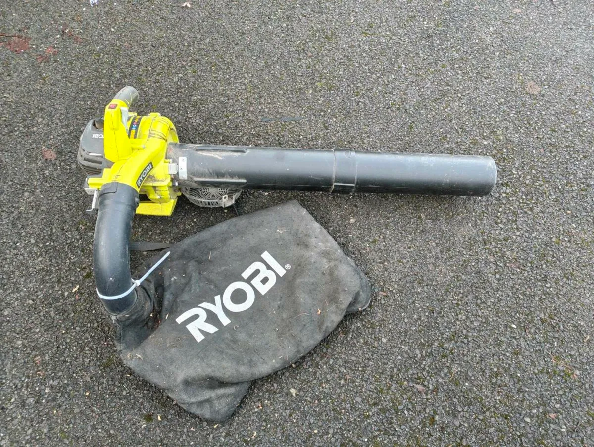 Ryobi leaf blower / vacuum - Image 1