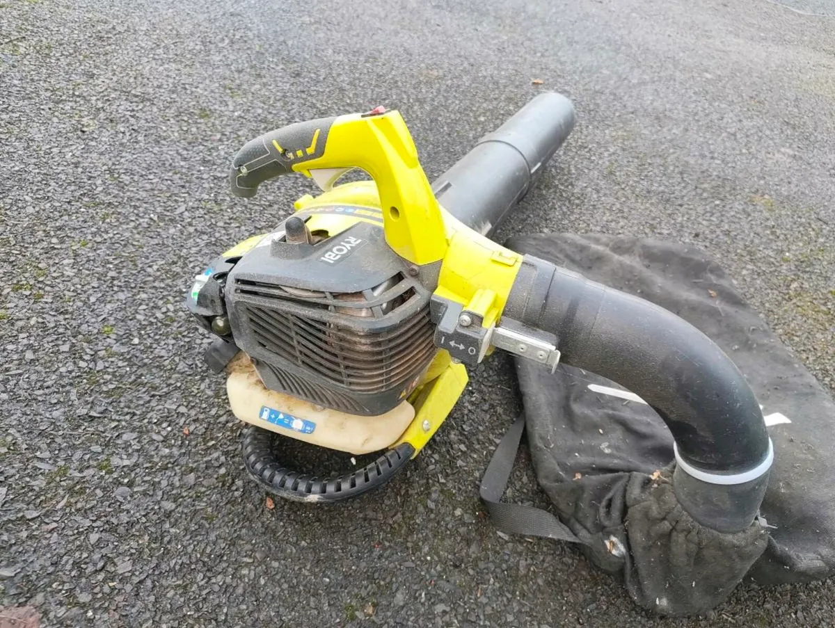 Ryobi leaf blower / vacuum - Image 2