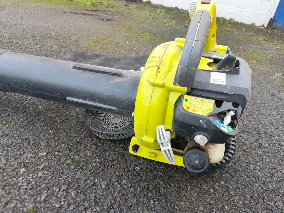 Ryobi leaf blower / vacuum - Image 3