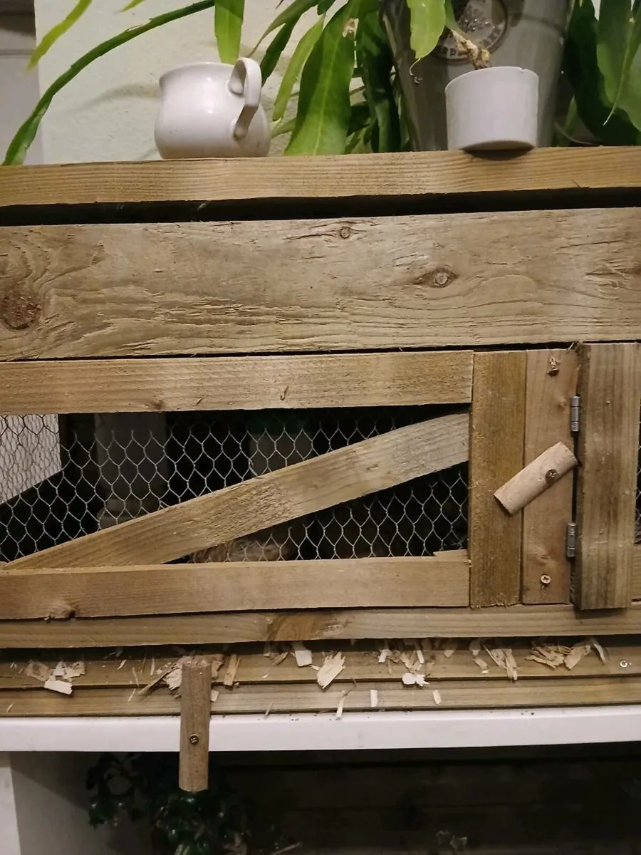 Quail and Quail pen - Image 3