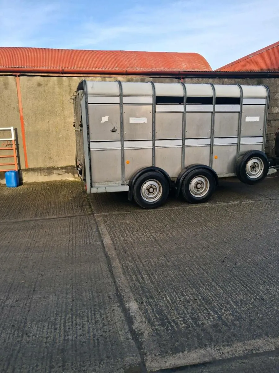 Ifor Williams cattle trailer - Image 2