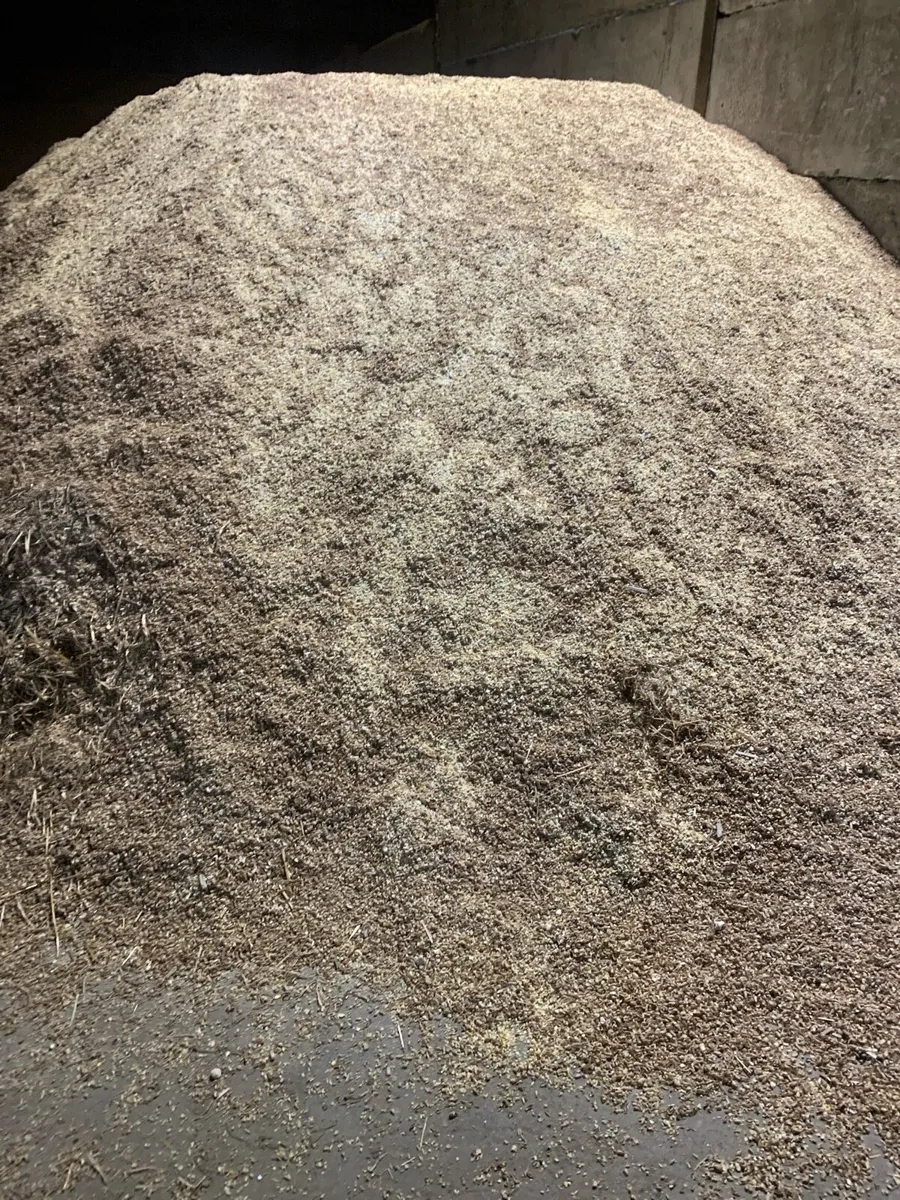 Crushed Beans - Image 2