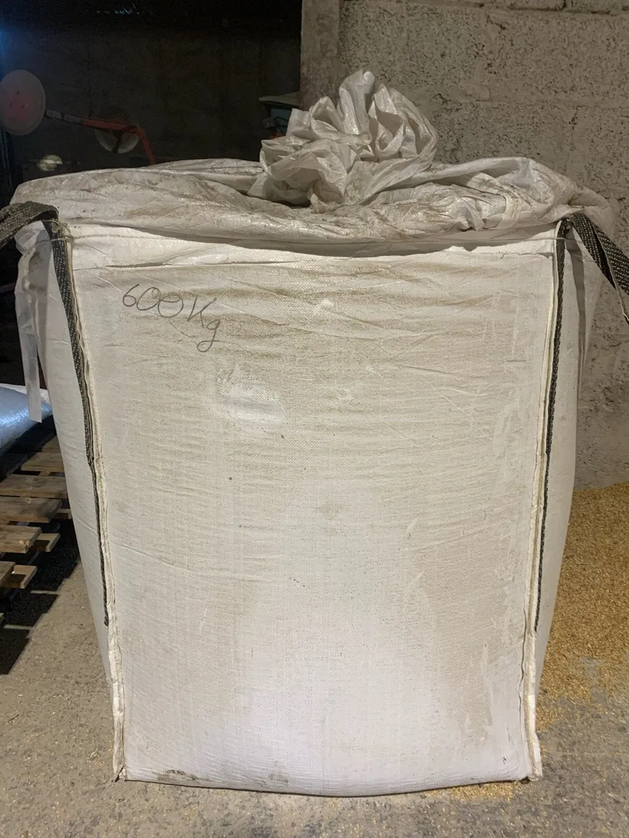 Dried Barley - Image 4