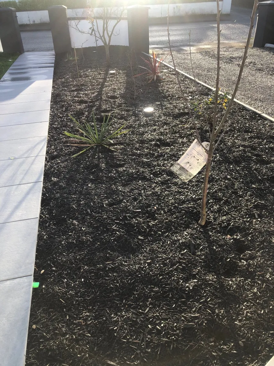 Free Ton back of  Mulch / wood chip / bark - Image 2