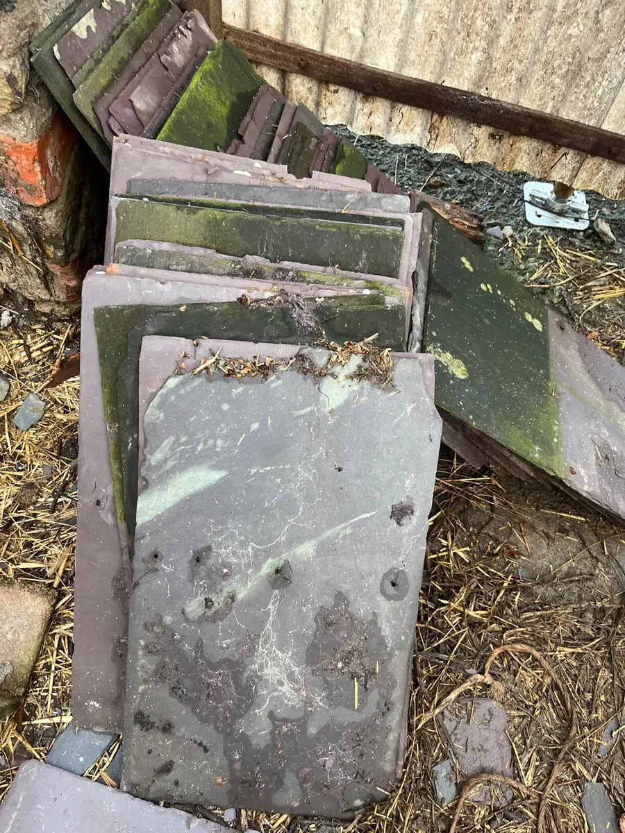 Bangor blue slates - Image 2
