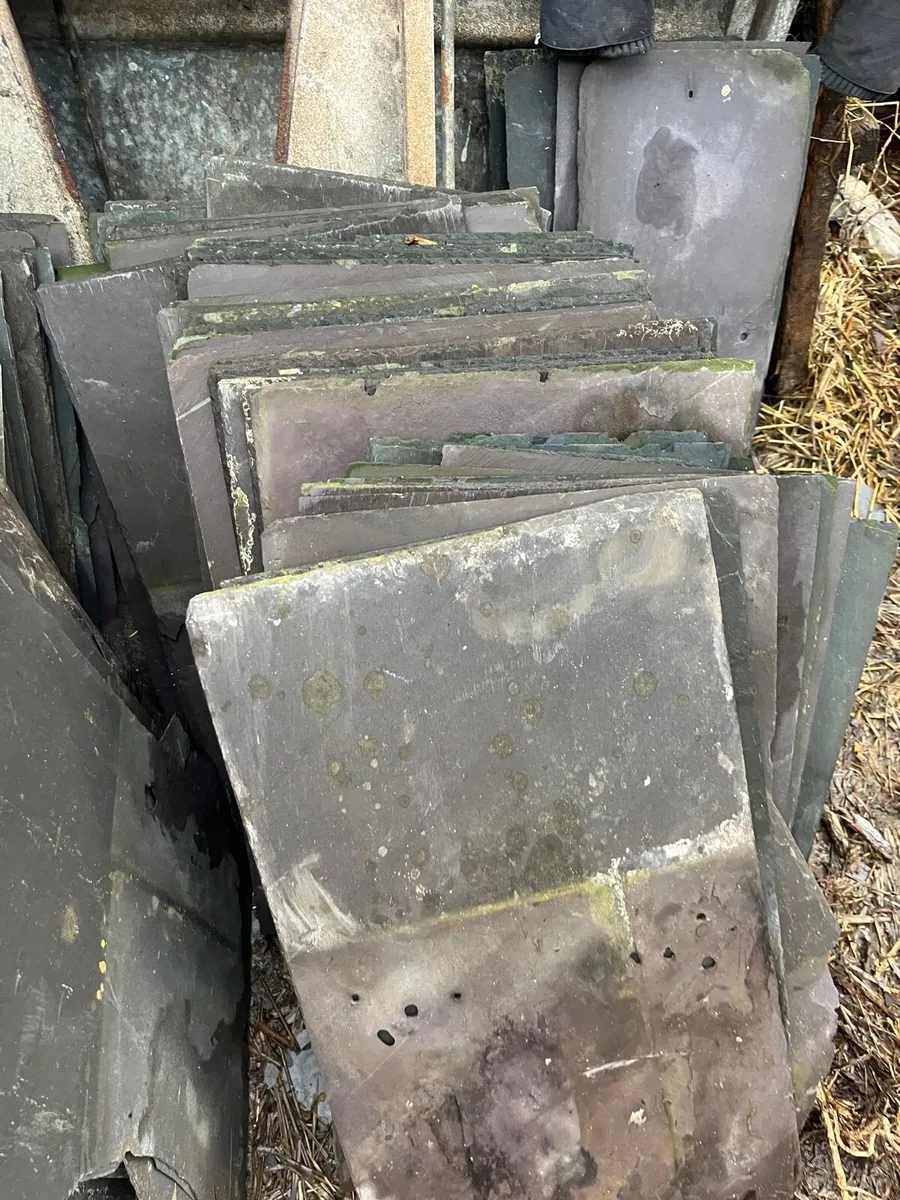 Bangor blue slates - Image 3