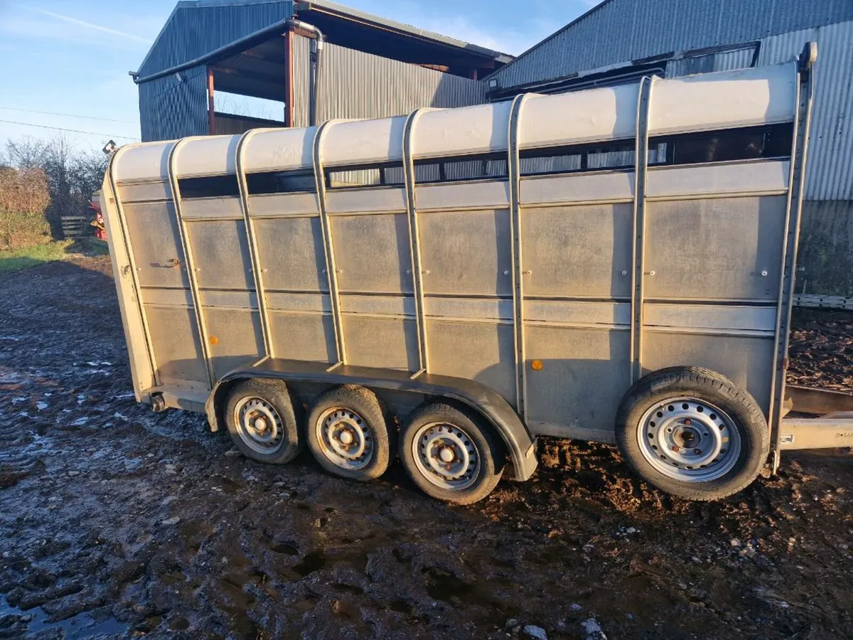 Cattle trailer - Image 1