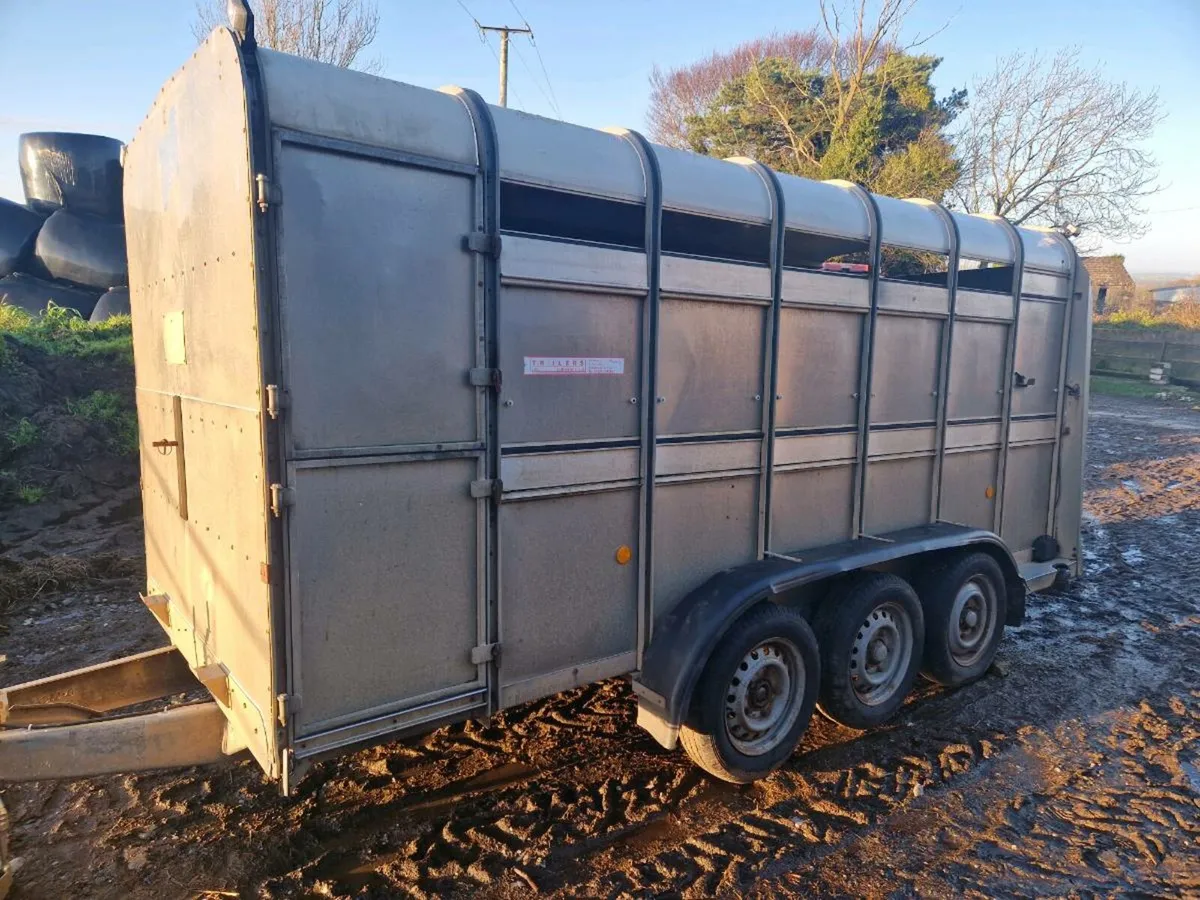 Cattle trailer - Image 2