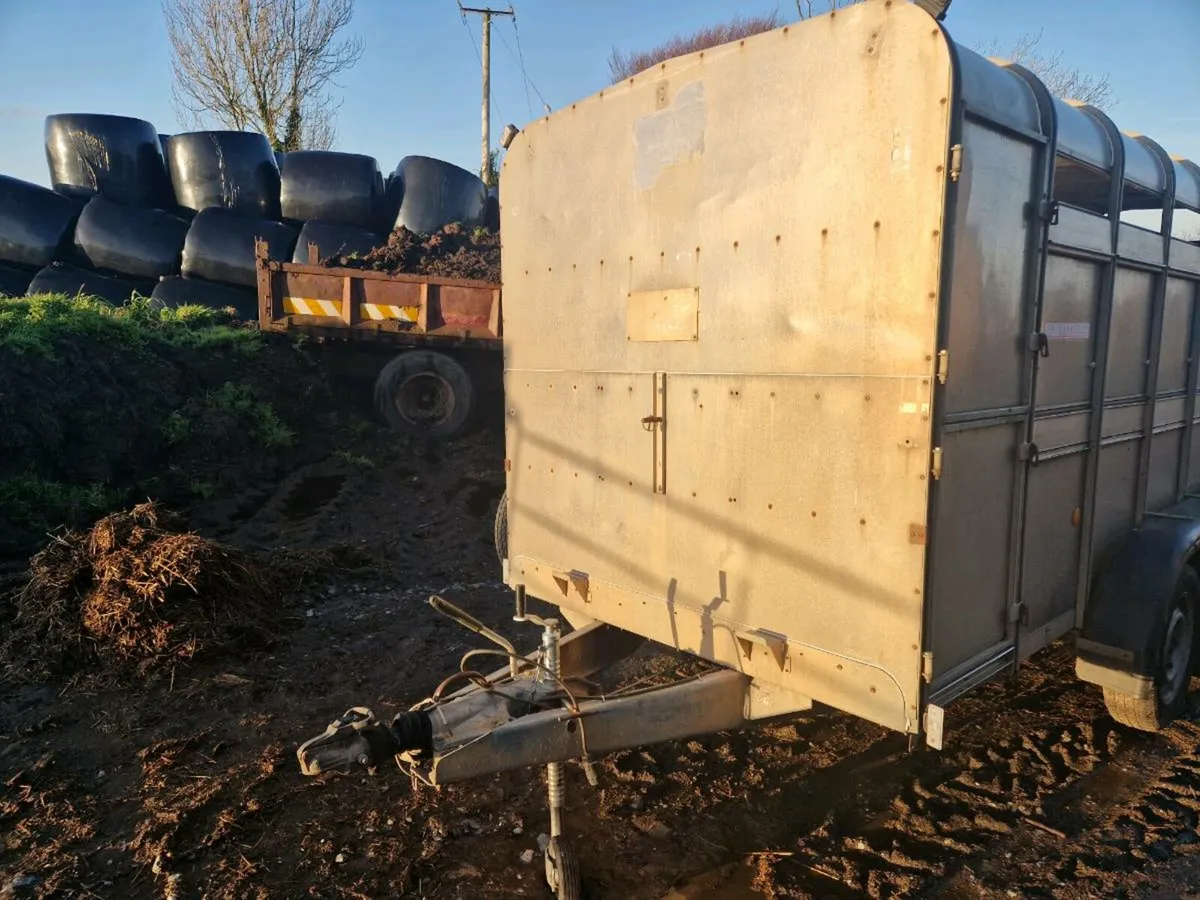 Cattle trailer - Image 3