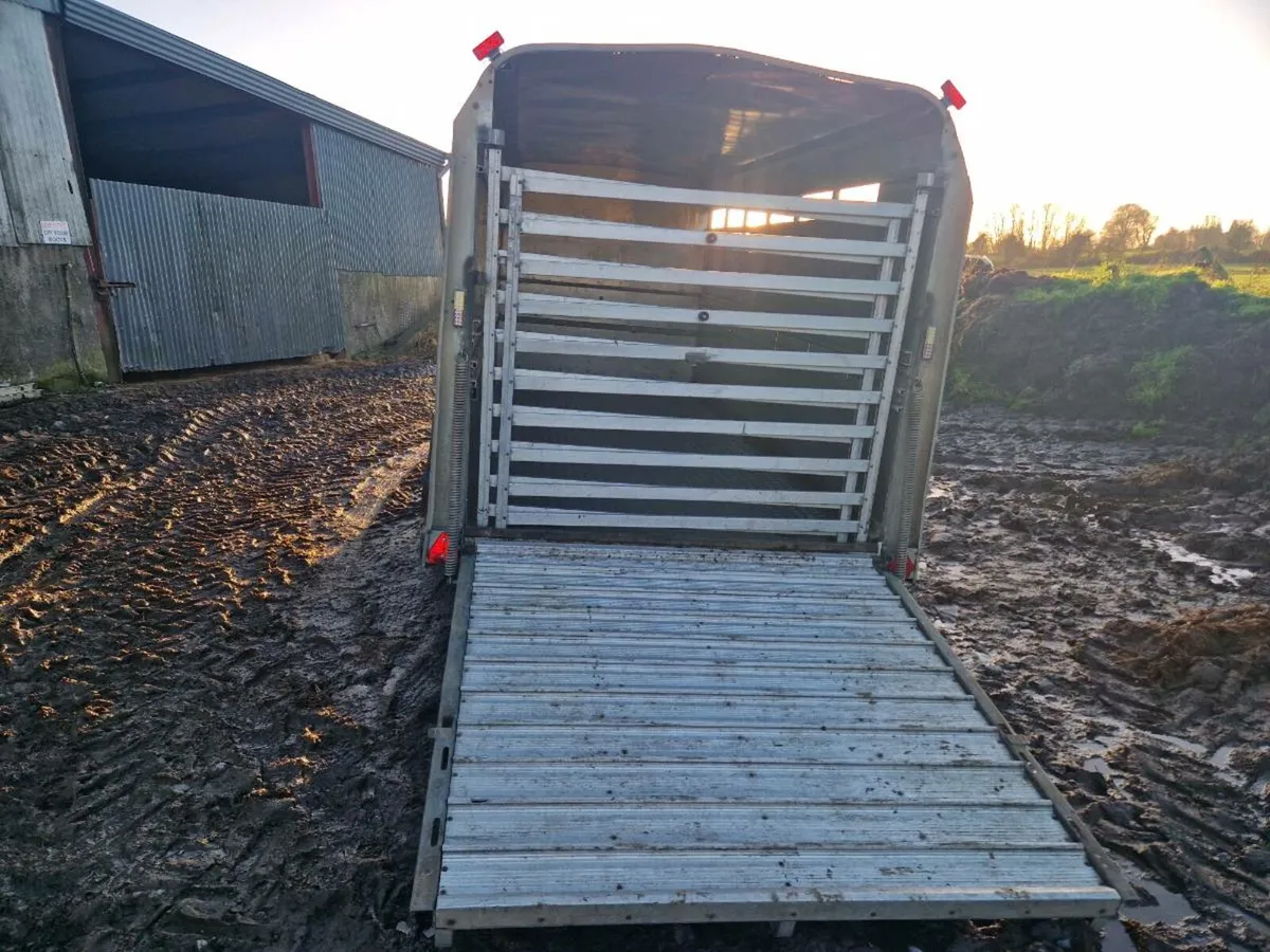 Cattle trailer - Image 4