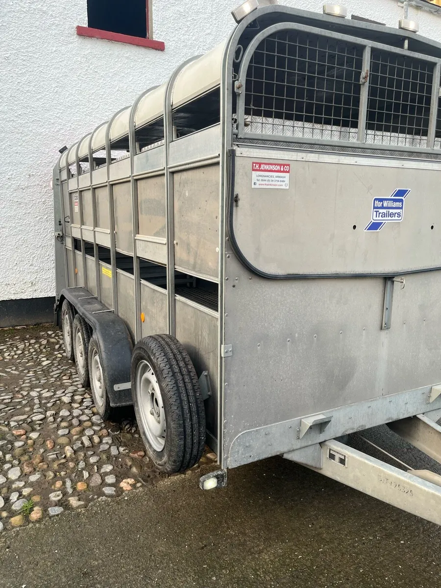 Ivor Williams cattle trailer 14ft - Image 1