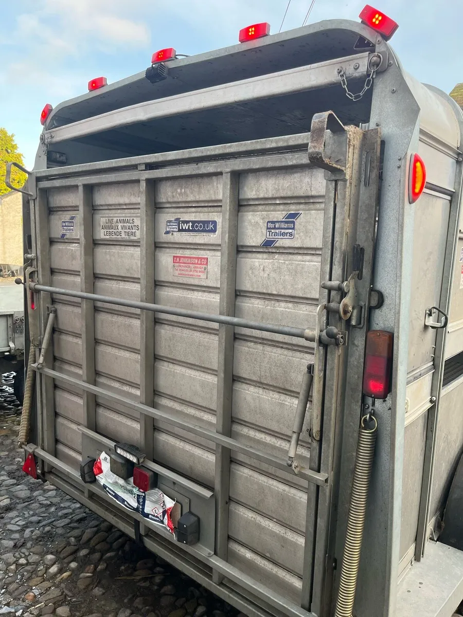 Ivor Williams cattle trailer 14ft - Image 2
