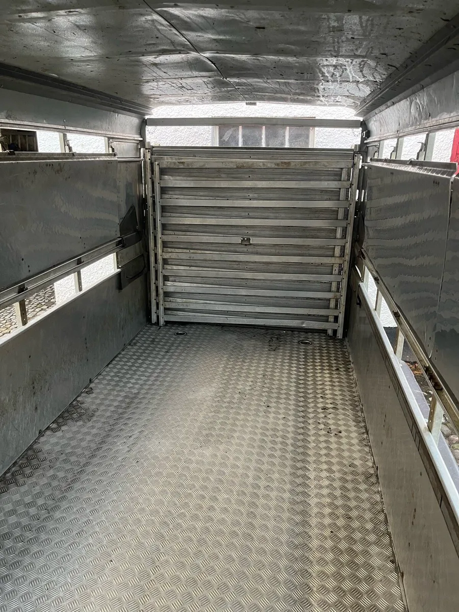 Ivor Williams cattle trailer 14ft - Image 3