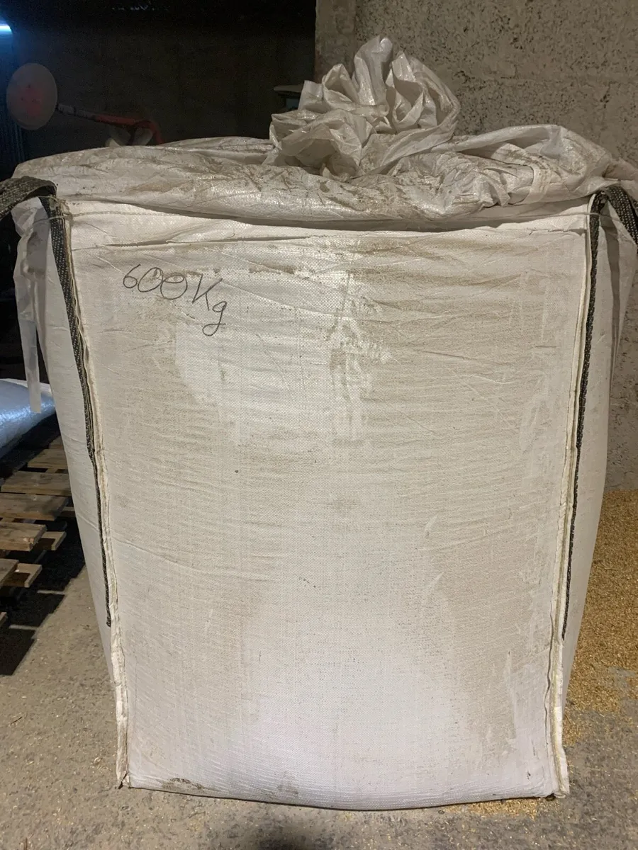 Crushed Beans - Image 3