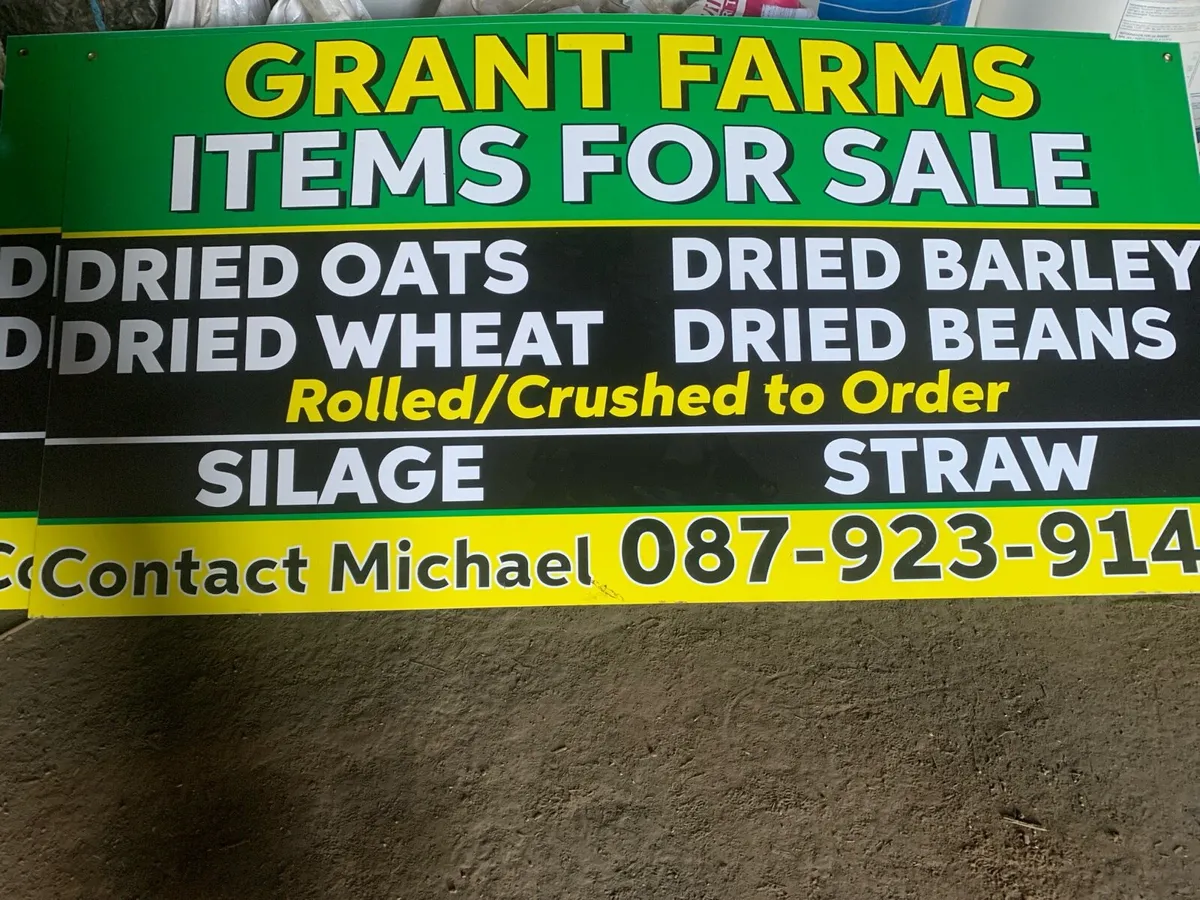 Crushed Beans - Image 4