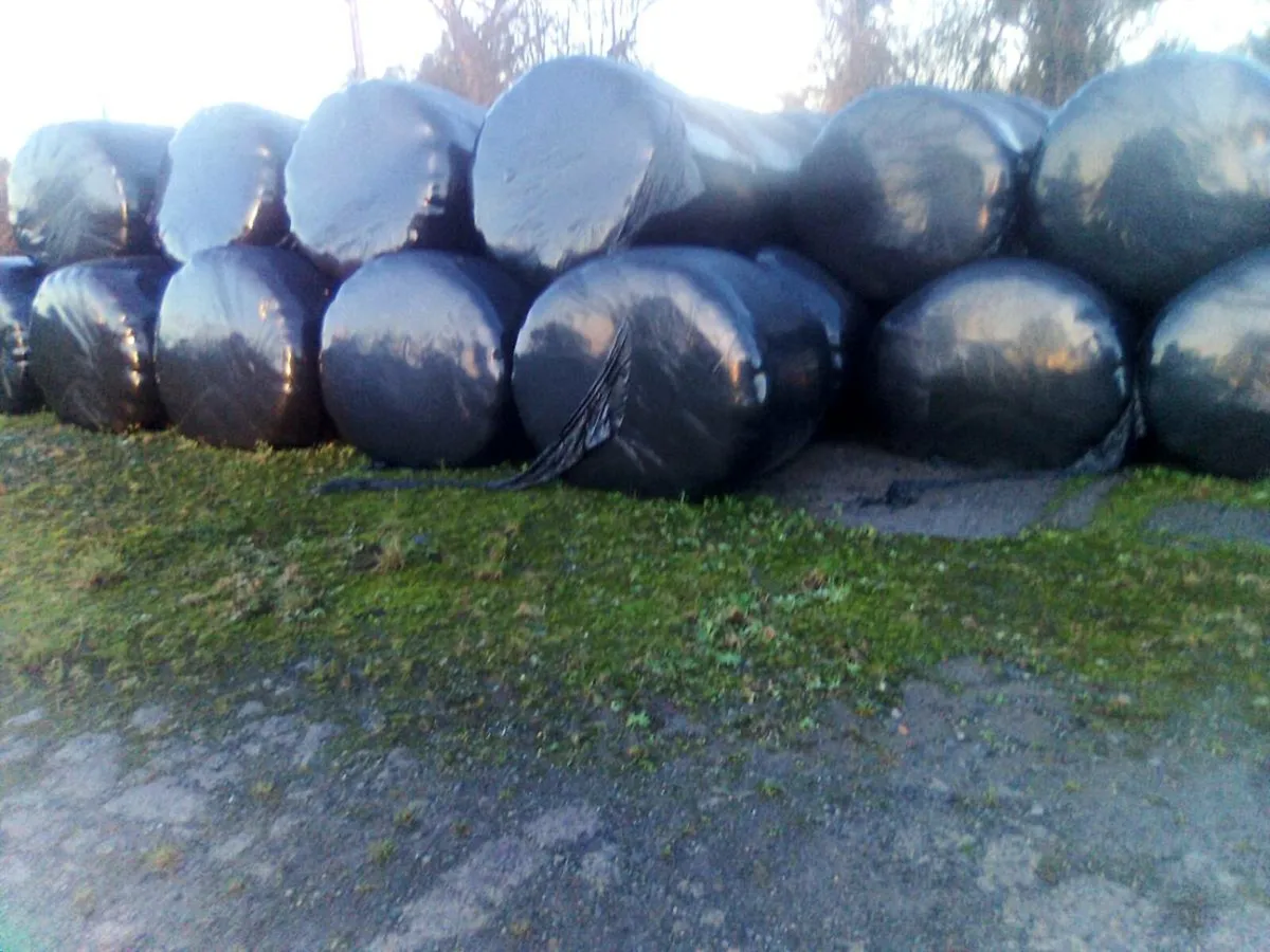 Silage - Image 2