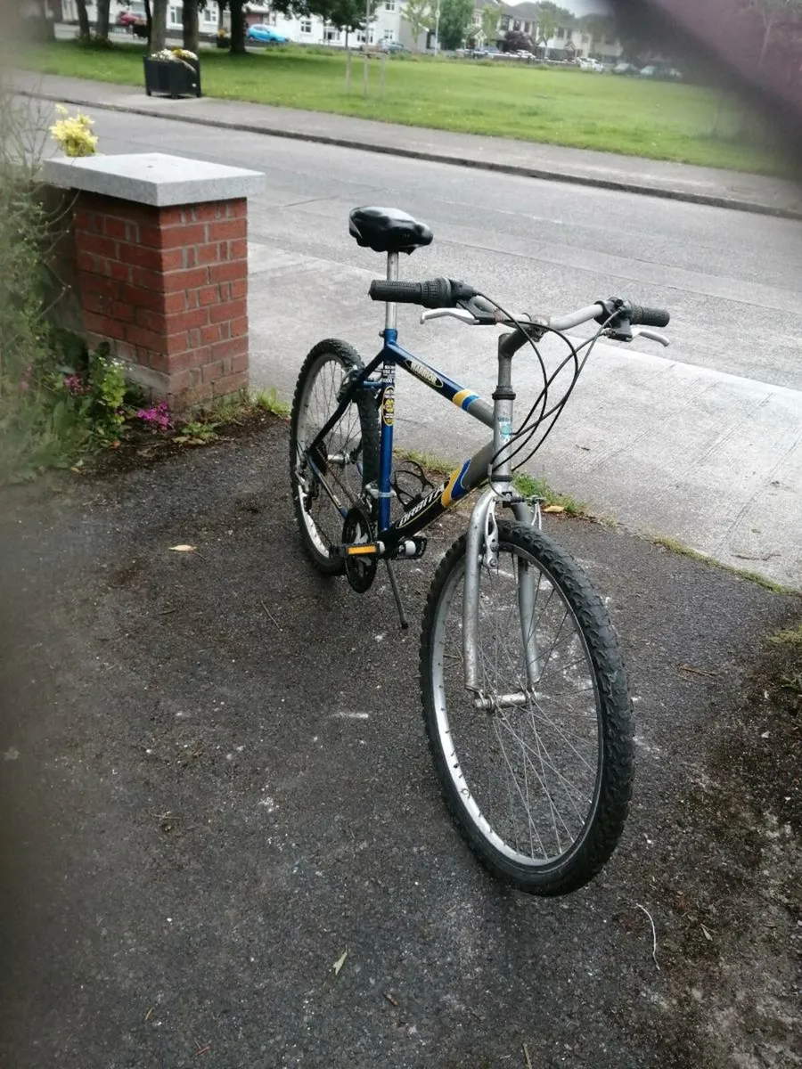 Gents mountain bike - Image 1