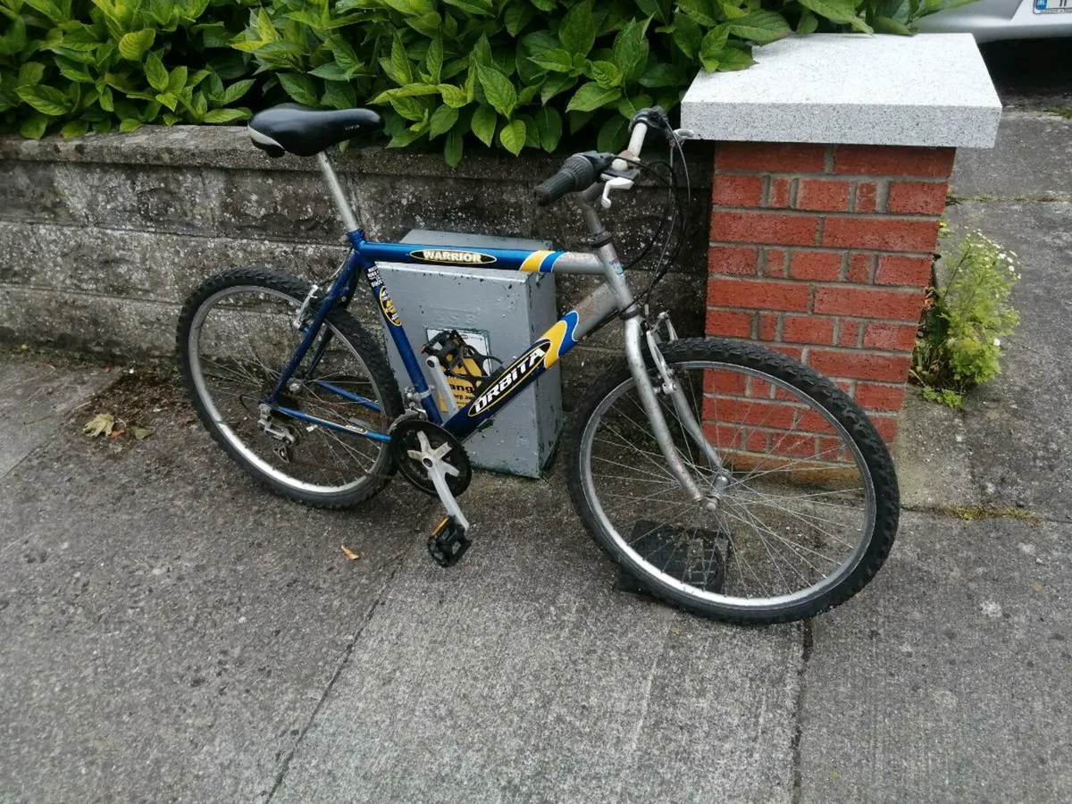 Gents mountain bike - Image 3