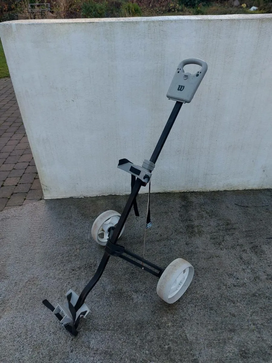 Caddy cart - Image 1