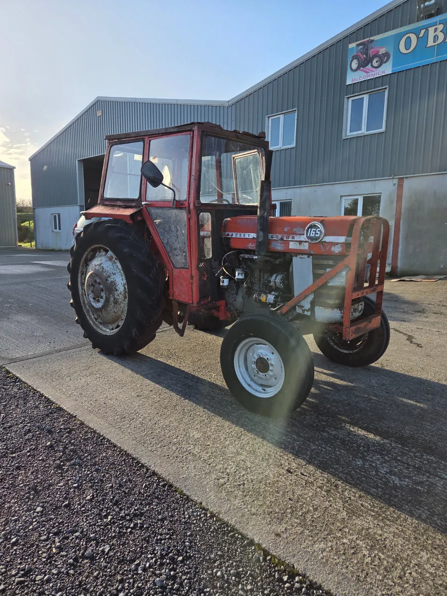 1979 Massey Ferguson 165 - Image 2