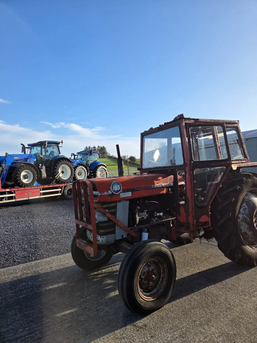 1979 Massey Ferguson 165 - Image 4