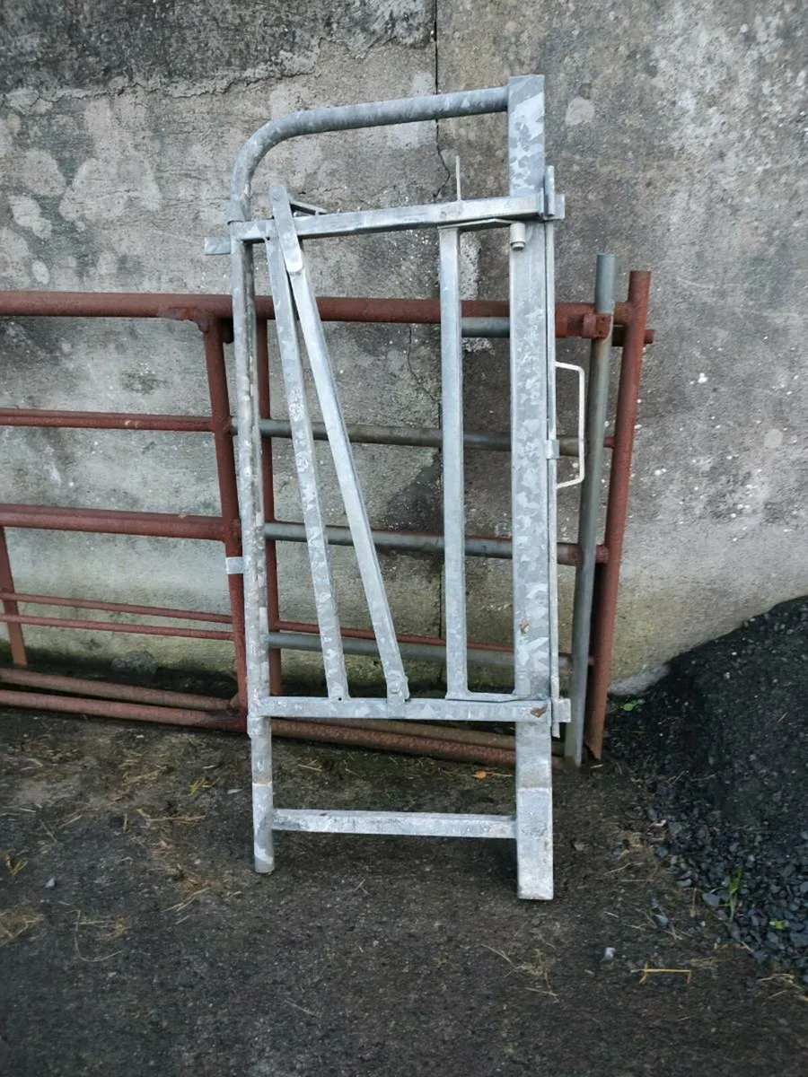 Crush gate - Image 1