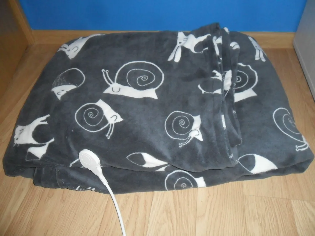 Electric Heated Blanket - Image 2