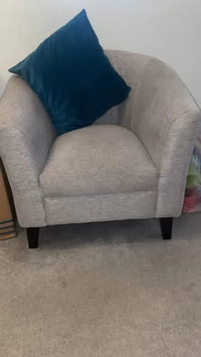 Ez living Grey Arm Chair