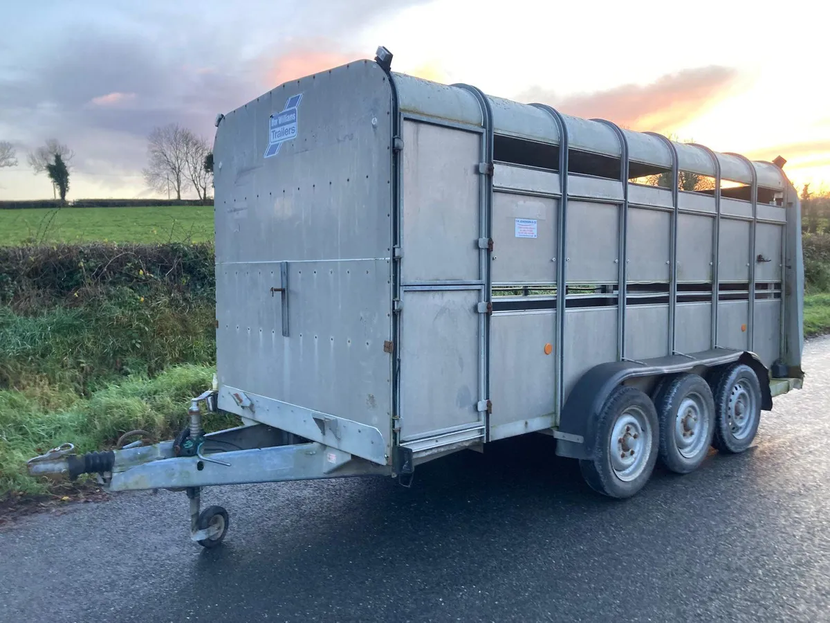 Trade sale 2010 Ifor Williams 14ft Cattle Trailer - Image 1