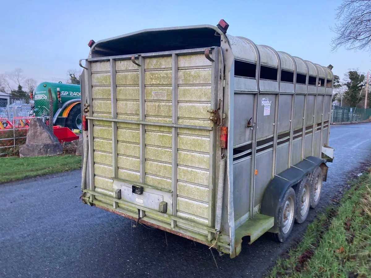 Trade sale 2010 Ifor Williams 14ft Cattle Trailer - Image 2