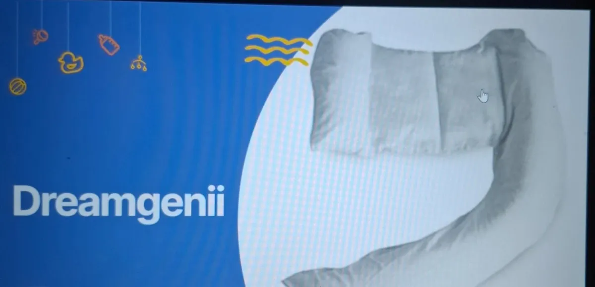 Dreamgenii Pregnancy Pillow